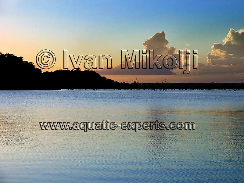 LAKES